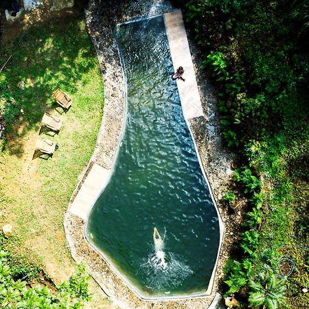 Natural Mystic Sanctuary 데니야야 외부 사진