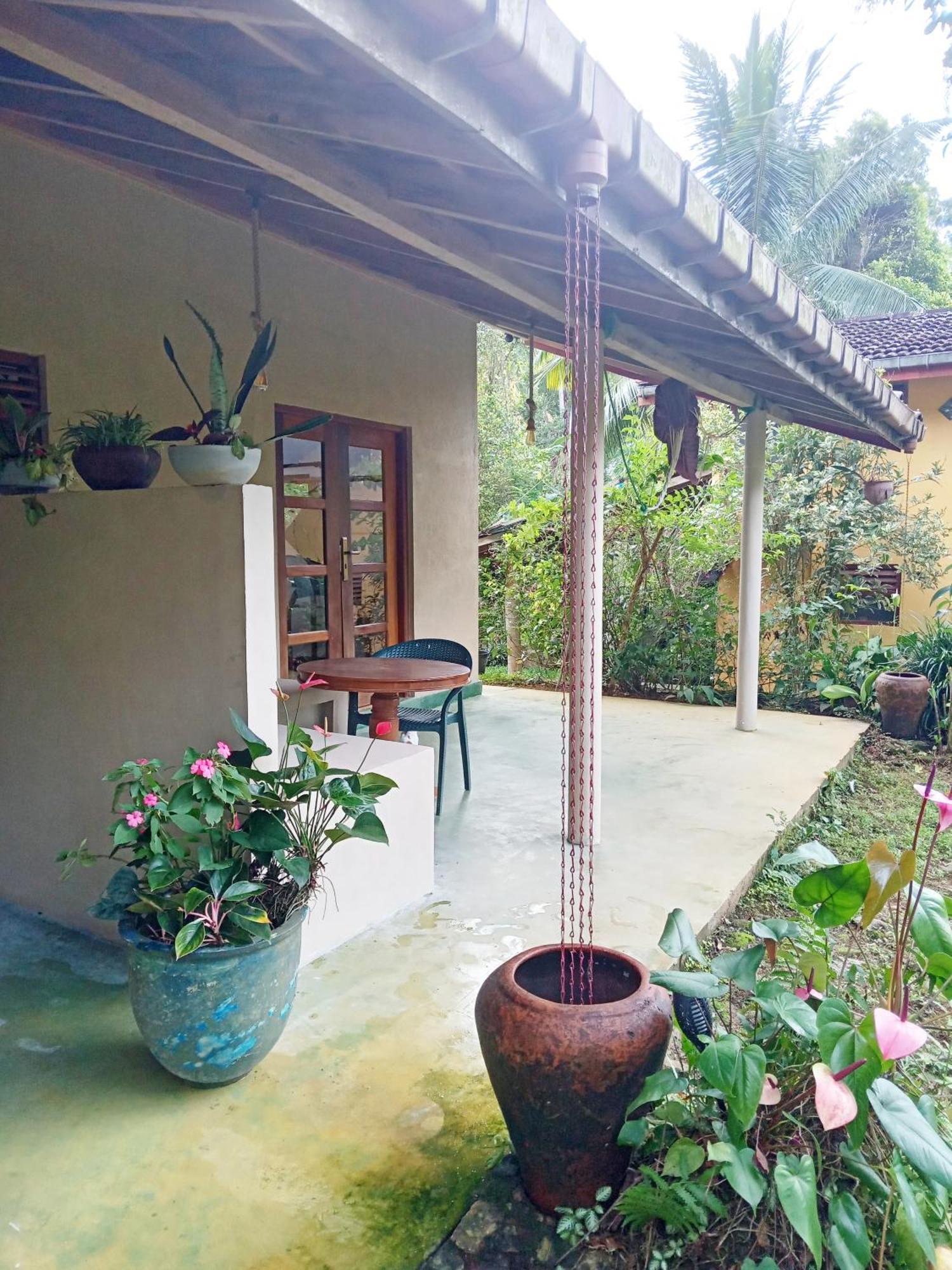 Natural Mystic Sanctuary 데니야야 외부 사진