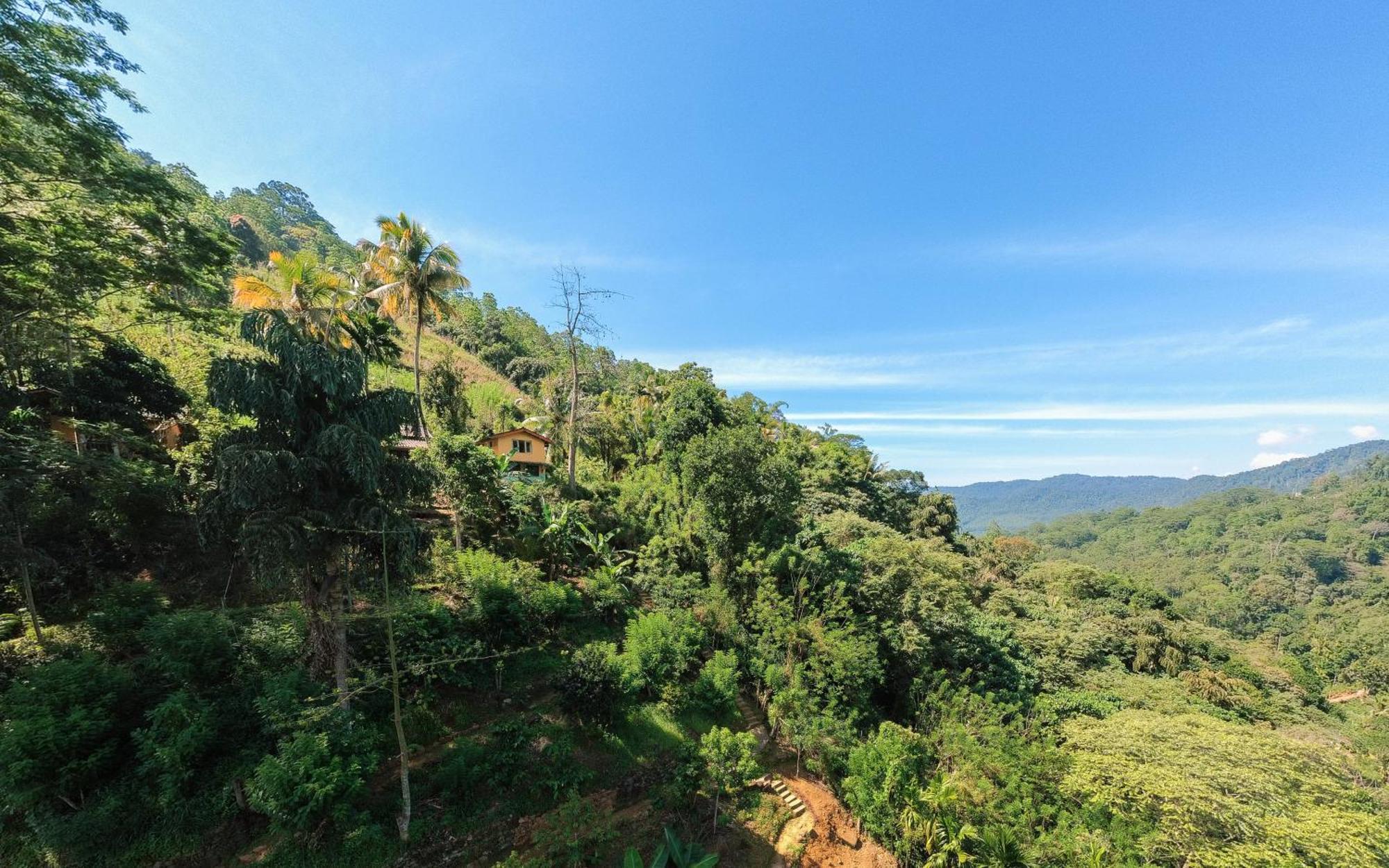 Natural Mystic Sanctuary 데니야야 외부 사진