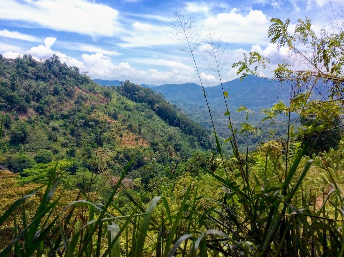 Natural Mystic Sanctuary 데니야야 외부 사진