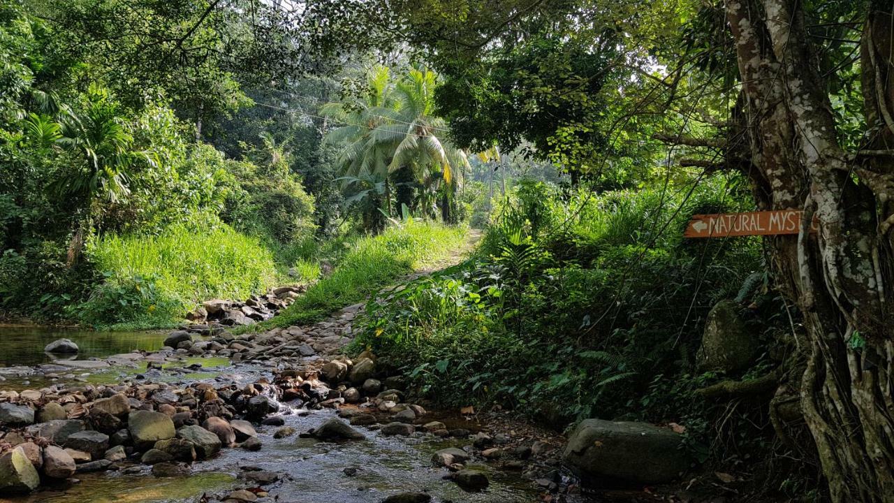 Natural Mystic Sanctuary 데니야야 외부 사진