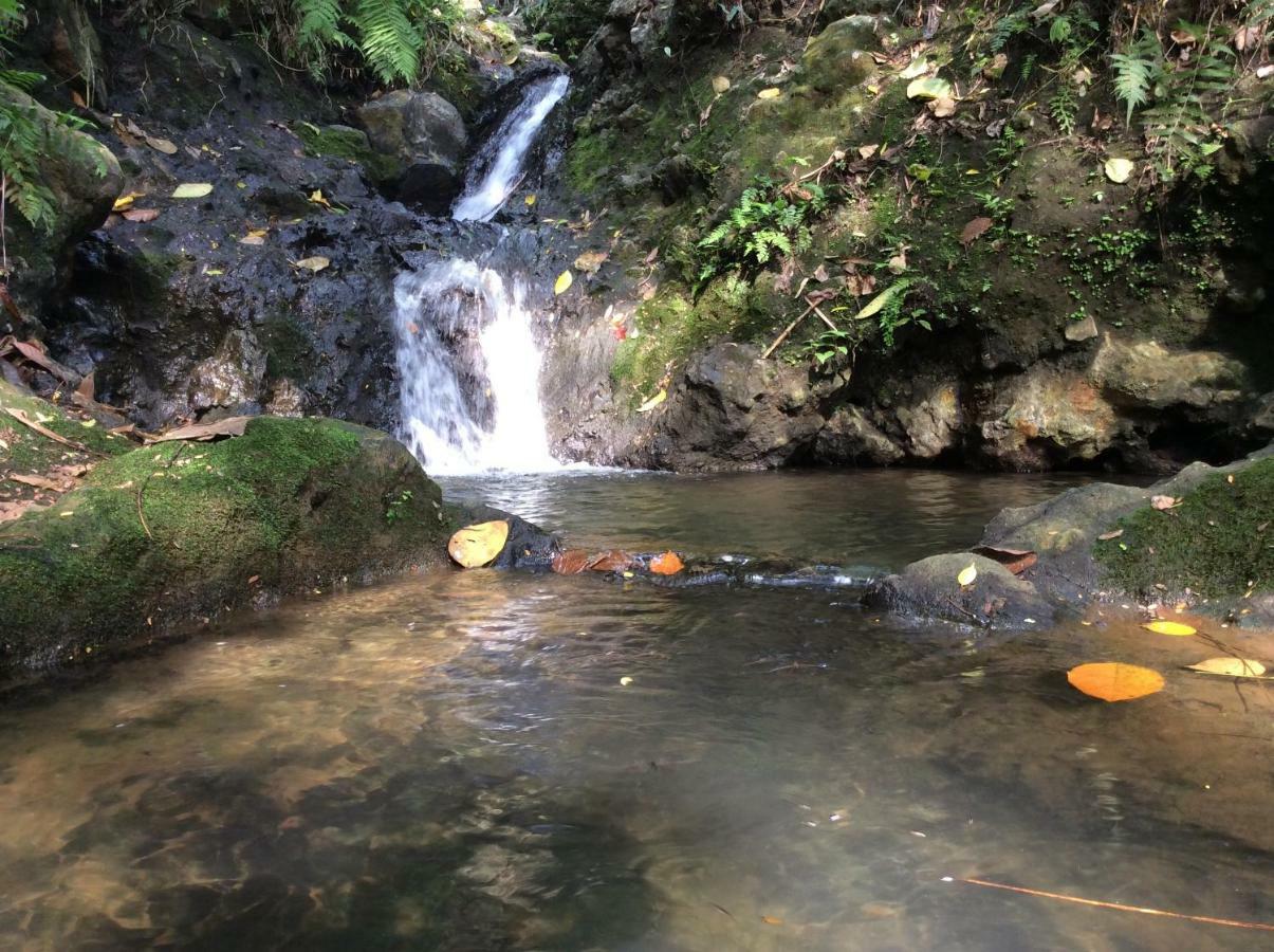 Natural Mystic Sanctuary 데니야야 외부 사진