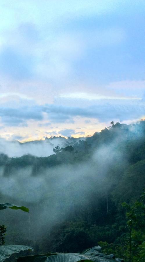 Natural Mystic Sanctuary 데니야야 외부 사진