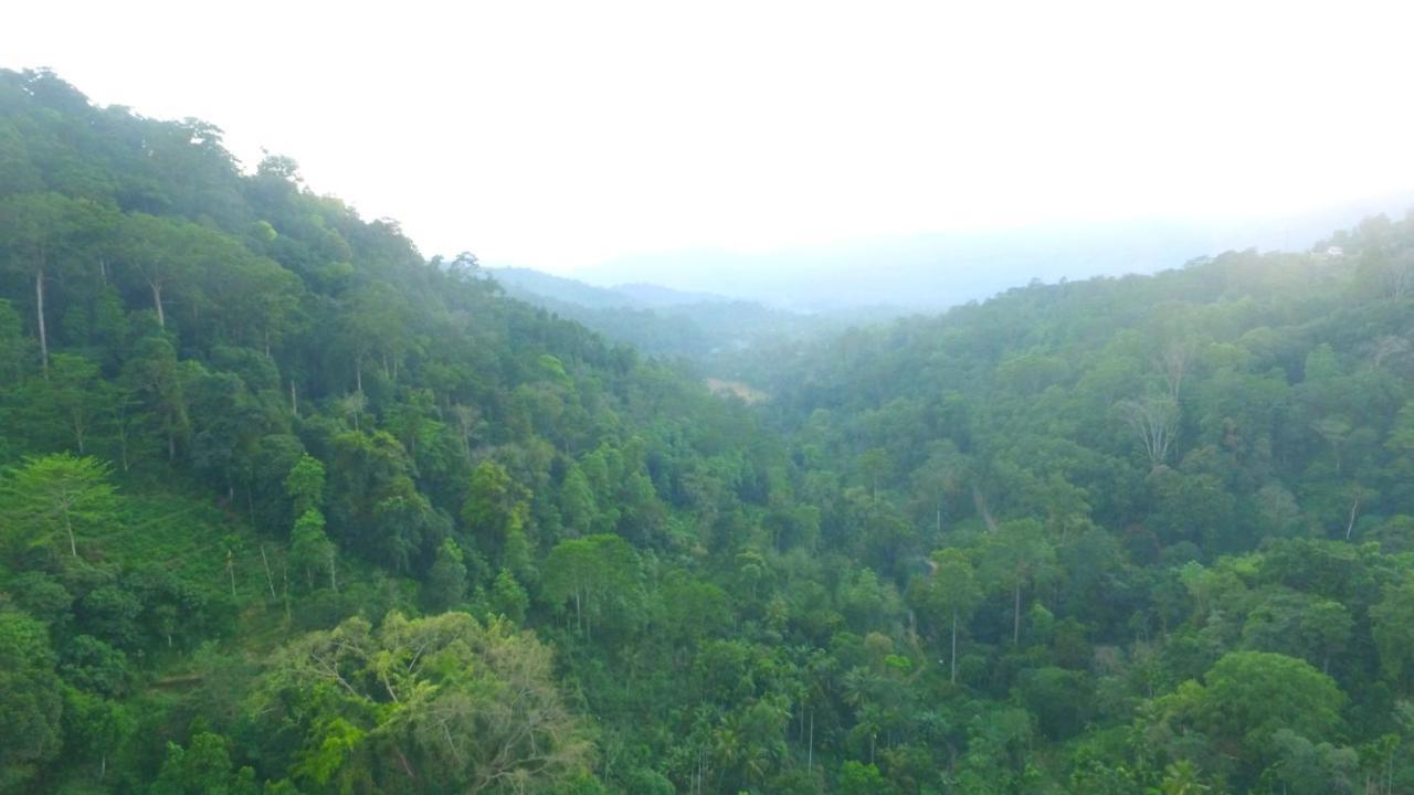 Natural Mystic Sanctuary 데니야야 외부 사진